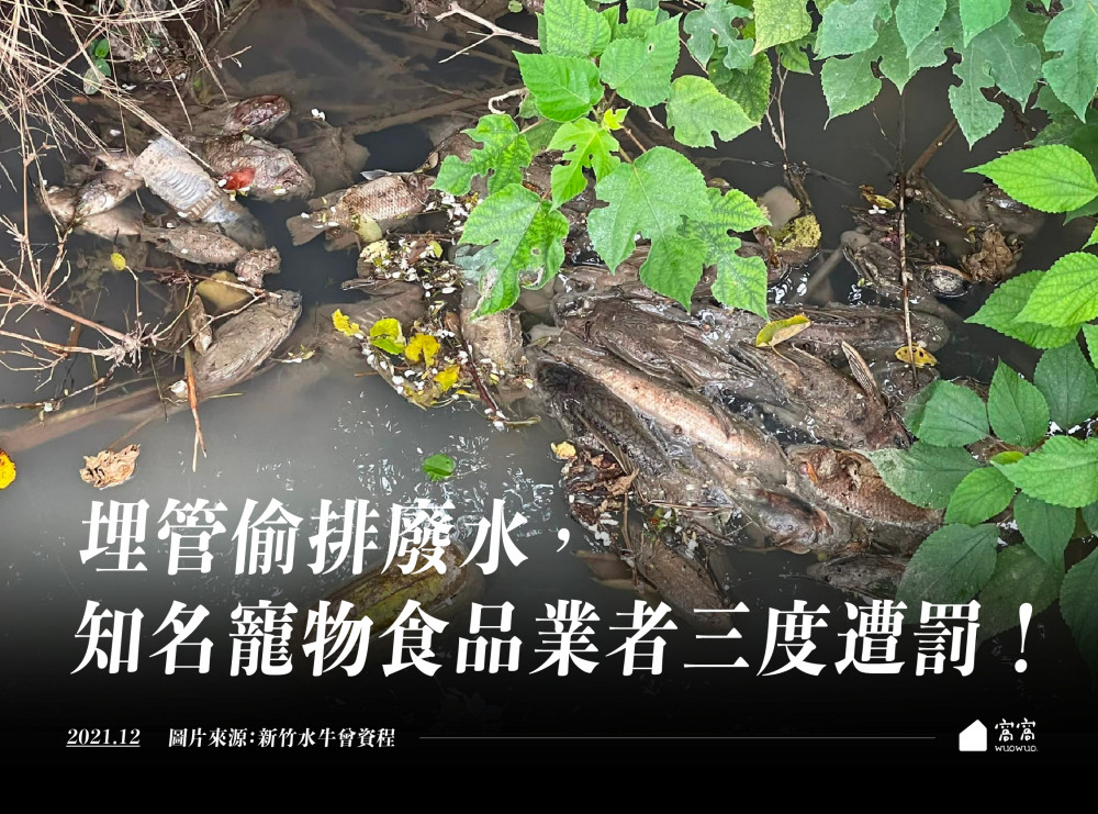 時事 汪喵偷排